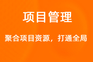 OA标准化协同办公——项目管理-网站制作