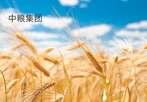 中粮名庄荟