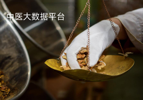 大数据-中药集团