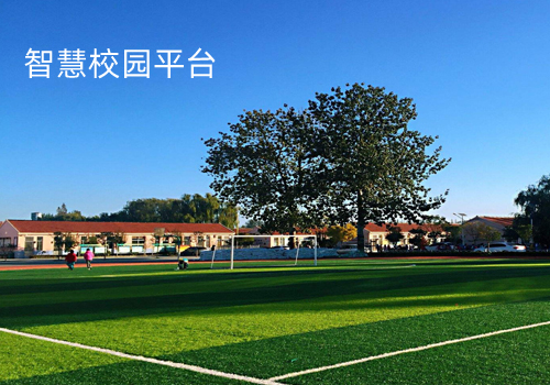 智慧校园刷脸门禁