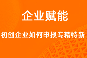 初创型企业如何申报专精特新中小企业？-网站制作