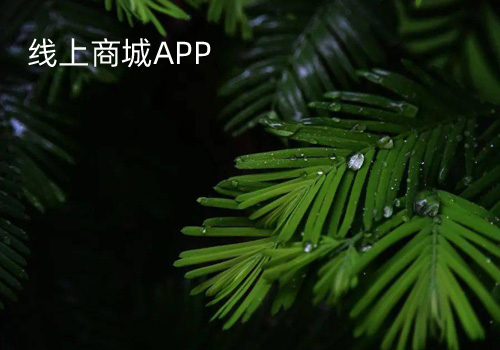 购物捷商城