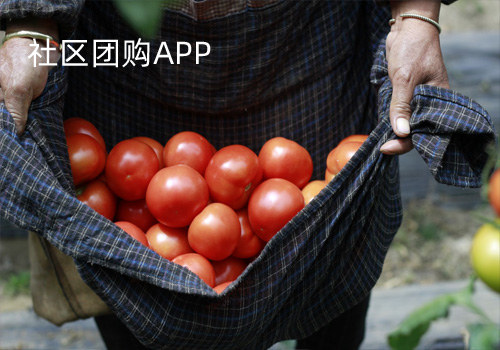 聚惠团APP