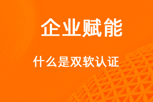 什么是双软认证？享受那些优惠政策-网站制作
