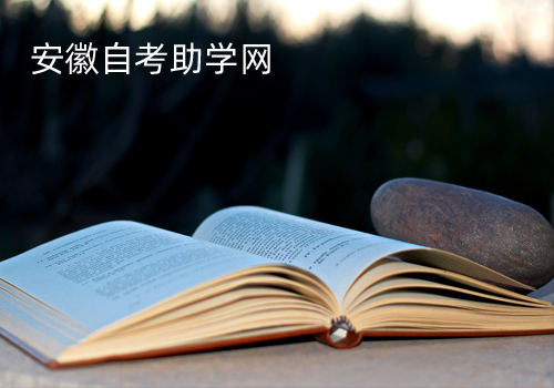 安徽自学助考网站建设