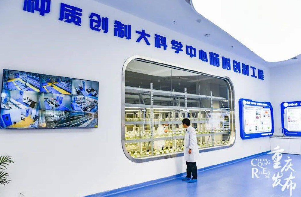 宇淼科技成功签约西部（重庆）科学城种质创制大科学中心-网站制作