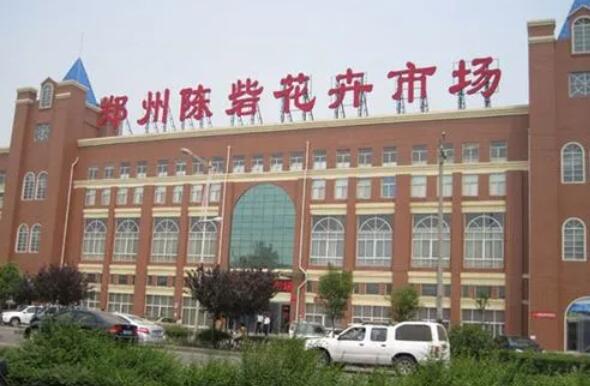 宇淼科技成功签约郑州陈砦花卉集团有限公司-网站制作