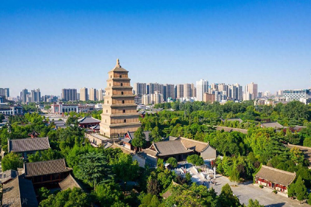 宇淼科技成功签约陕西省职成教育人才服务中心-网站制作